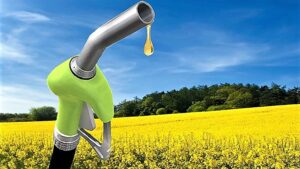 Биотопливо: станет ли оно полноценной альтернативой нефтепродуктам
